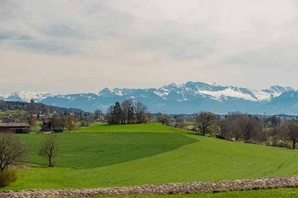 2023年4月10日スイス カントン チューリッヒのパフェフィコン雪に覆われた山々を背景にした緑豊かな牧草地を見下ろす信じられないほどの景色 — ストック写真