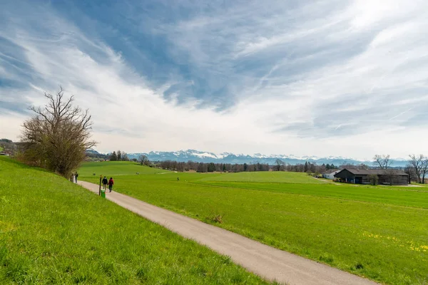 2023年4月10日スイス カントン チューリッヒのパフェフィコン雪に覆われた山々を背景にした緑豊かな牧草地を見下ろす信じられないほどの景色 — ストック写真