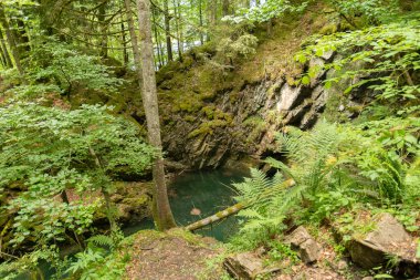 Waegital, Canton Schwyz, İsviçre, 13 Haziran 2023 Hundlochquelle Waegitalersee Gölü kıyısında küçük bir ormanla çevrili.