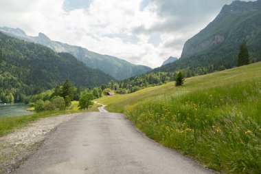 Waegital, Canton Schwyz, İsviçre, 13 Haziran 2023 büyüleyici Waegitalersee kıyısında arka planda güzel alpler olan yeşil çayır.