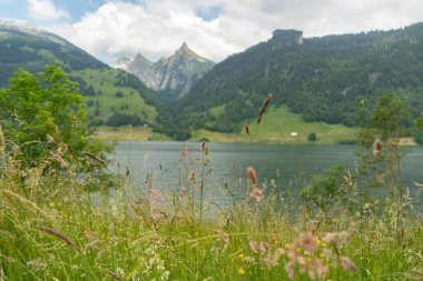 Waegital, Canton Schwyz, İsviçre, 13 Haziran 2023. Waegitalersee Gölü üzerindeki büyüleyici manzara. Taze yeşil bir çayır ve arka plandaki Zindlenspitz Dağı zirvesi.