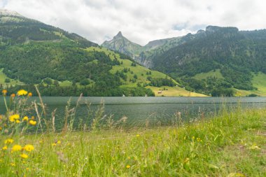 Waegital, Canton Schwyz, İsviçre, 13 Haziran 2023. Waegitalersee Gölü üzerindeki büyüleyici manzara. Taze yeşil bir çayır ve arka plandaki Zindlenspitz Dağı zirvesi.
