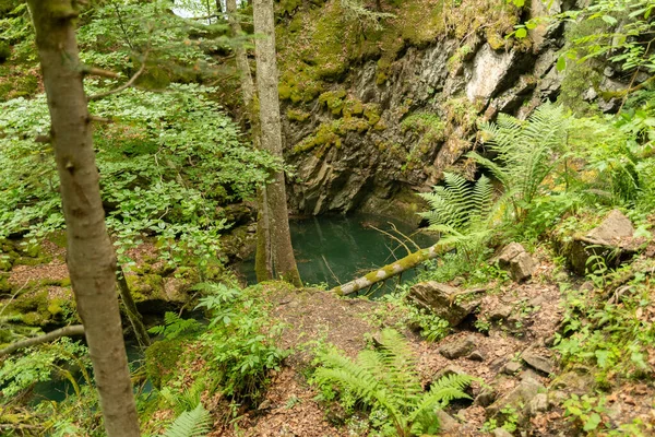 Waegital Canton Schwyz Switzerland June 2023 Hundlochquelle Surrounded Little Forest — Stock Photo, Image
