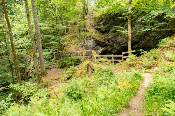 stock image Waegital, Canton Schwyz, Switzerland, June 13, 2023 Hundlochquelle surrounded by a little forest at the coast of the lake Waegitalersee