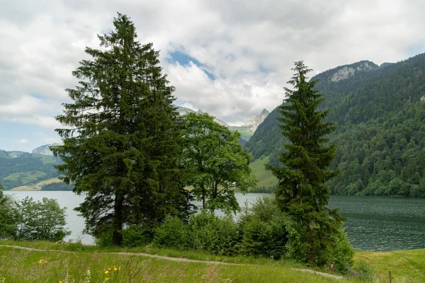 Waethe Canton Schwyz Szwajcaria Czerwca 2023 Fantastyczny Widok Piękne Jezioro — Zdjęcie stockowe