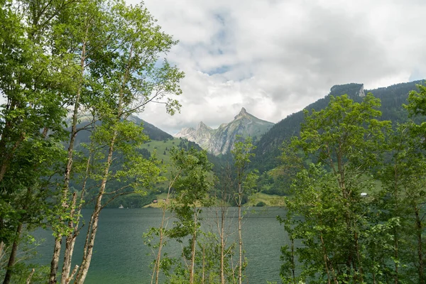 Waegital Canton Schwyz Sviçre Haziran 2023 Waegitalersee Gölü Nün Arka — Stok fotoğraf