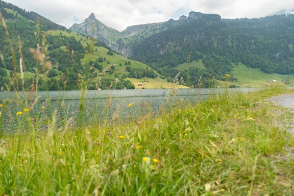 Waegital Canton Svitto Svizzera Giugno 2023 Affascinante Vista Sul Lago — Foto Stock