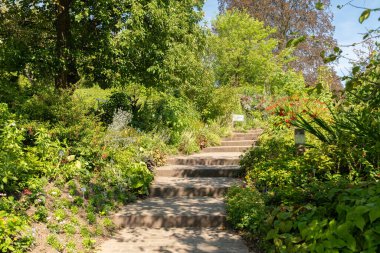 Zürih, İsviçre, 14 Temmuz 2023 Botanik Bahçesinde farklı bitkiler