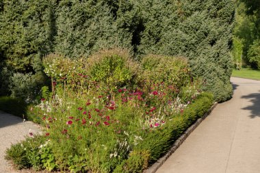 Mainau, Almanya, 20 Temmuz 2023 Botanik bahçesindeki güzel çiftlikler