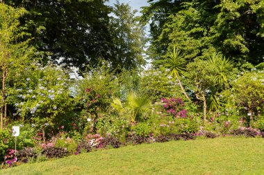 Mainau, Almanya, 20 Temmuz 2023 Büyüleyici çiçekler ve güzel bir parktaki farklı tarlalar