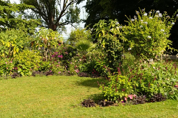 Mainau Niemcy Lipca 2023 Fascynujące Kwiaty Różne Plantacje Pięknym Parku — Zdjęcie stockowe
