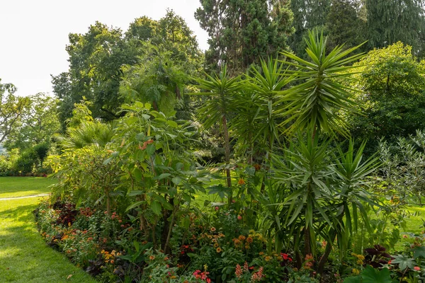 Mainau Németország 2023 Július Lenyűgöző Virágok Ültetvények Egy Gyönyörű Parkban — Stock Fotó