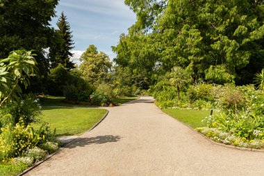 Mainau, Almanya, 20 Temmuz 2023 Büyüleyici çiçekler ve güzel bir parktaki farklı tarlalar