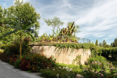 Mainau, Almanya, 20 Temmuz 2023 Büyüleyici çiçekler ve güzel bir parktaki farklı tarlalar