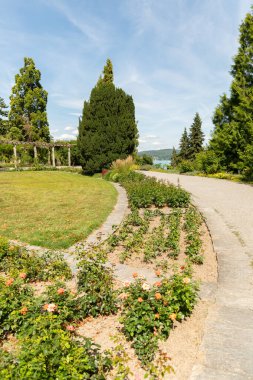 Mainau, Almanya, 20 Temmuz 2023 Büyüleyici çiçekler ve güzel bir parktaki farklı tarlalar