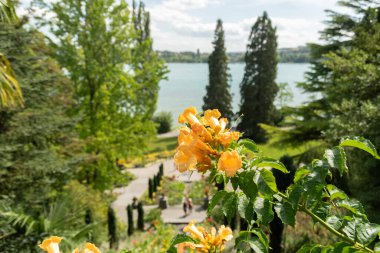 Mainau, Almanya, 20 Temmuz 2023 Güneşli bir günde güzel bir parktan Constance Gölü üzerinde etkileyici bir manzara