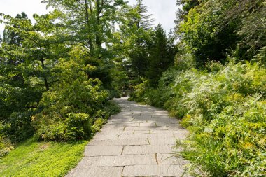 Mainau, Almanya, 20 Temmuz 2023 Büyüleyici çiçekler ve güzel bir parktaki farklı tarlalar