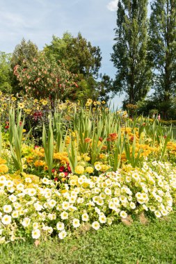 Mainau, Almanya, 20 Temmuz 2023 Büyüleyici çiçekler ve güzel bir parktaki farklı tarlalar