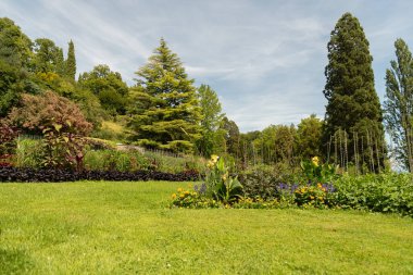 Mainau, Almanya, 20 Temmuz 2023 Büyüleyici çiçekler ve güzel bir parktaki farklı tarlalar