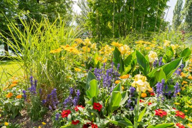 Mainau, Almanya, 20 Temmuz 2023 Büyüleyici çiçekler ve güzel bir parktaki farklı tarlalar