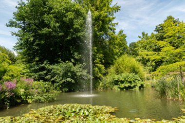 Mainau, Almanya, 20 Temmuz 2023 Güneşli bir günde süzülen nilüferlerle dolu küçük bir göl