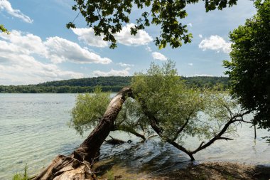 Mainau, Almanya, 20 Temmuz 2023 Güneşli bir günde Constance Gölü 'nün muhteşem manzarası