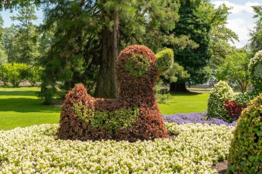 Mainau, Almanya, 20 Temmuz 2023 Çiçeklerden ördek heykeli güzel bir parkta sergileniyor