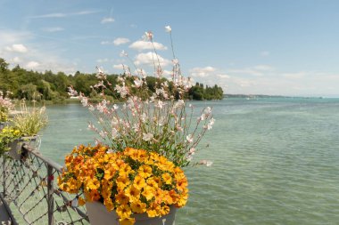 Mainau, Almanya, 20 Temmuz 2023 Güneşli bir günde Constance Gölü 'nün muhteşem manzarası