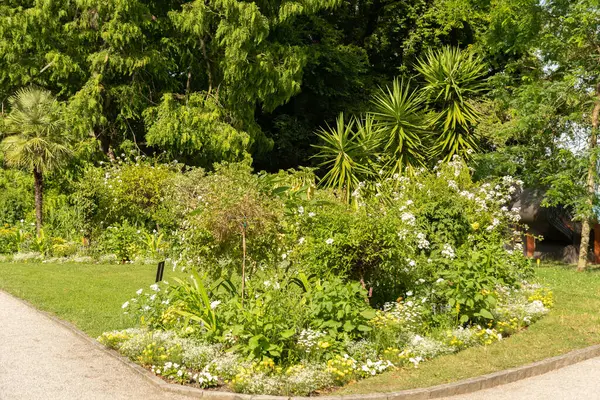 2023年7月20日 ドイツのメイナ 美しい公園の魅力的な花と異なるプランテーション — ストック写真