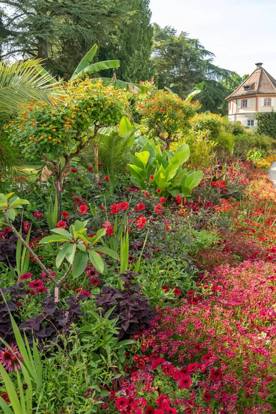 Mainau Németország 2023 Július Lenyűgöző Virágok Ültetvények Egy Gyönyörű Parkban — Stock Fotó