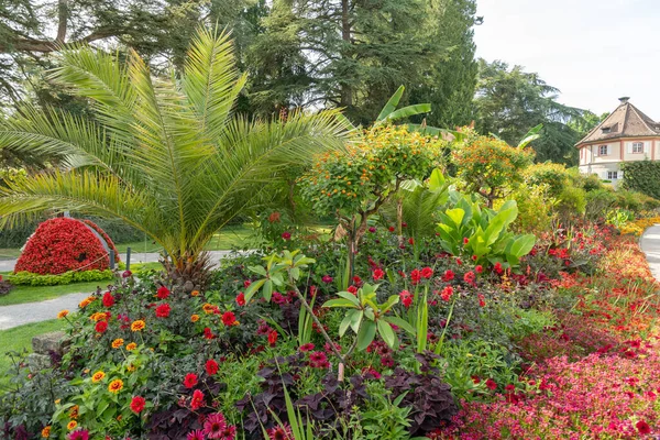 Mainau Germany July 2023 Fascinating Flowers Different Plantations Lovely Park — Stock Photo, Image