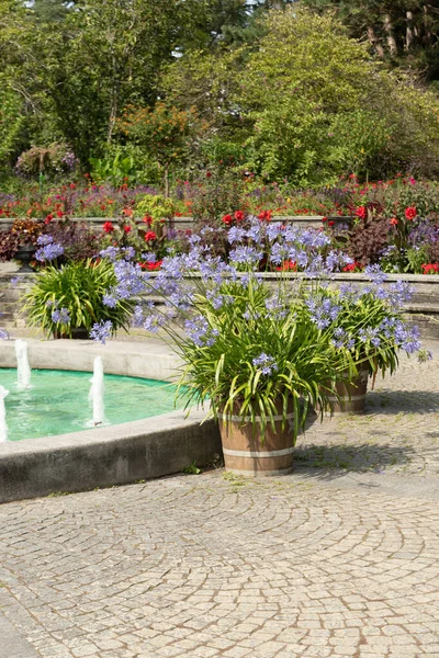 Mainau Tyskland Juli 2023 Vacker Fontän Omgiven Olika Växter Solig — Stockfoto