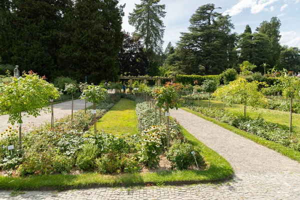 Mainau Alemanha Julho 2023 Flores Fascinantes Diferentes Plantações Lindo Parque — Fotografia de Stock