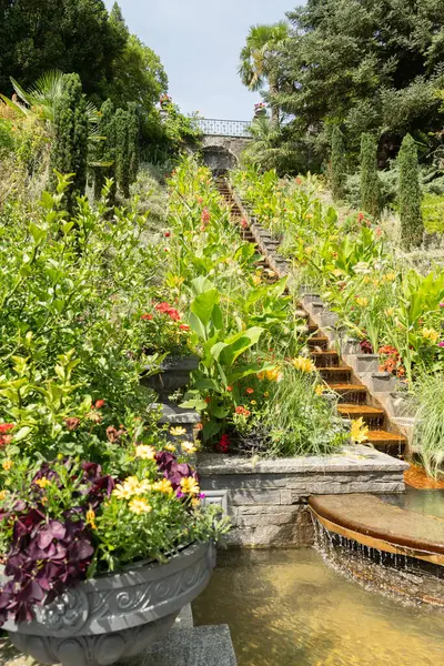 Mainau, Almanya, 20 Temmuz 2023 Büyüleyici çiçekler ve güzel bir parktaki farklı tarlalar