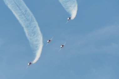 Mollis, İsviçre, 18 Ağustos 2023 Patrouille Suisse Northrop F-5E Tiger II askeri jeti bir hava gösterisi sırasında akrobatik uçuşlar yapıyor.