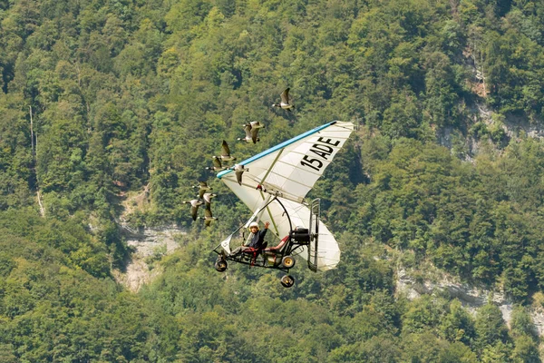 Mollis Sviçre Ağustos 2023 Ultralight Uçağına Hava Gösterimi Sırasında Kuşlar — Stok fotoğraf