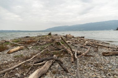 Bregenz, Avusturya, 14 Eylül 2023 Bulutlu bir günde Constance Gölü üzerinde