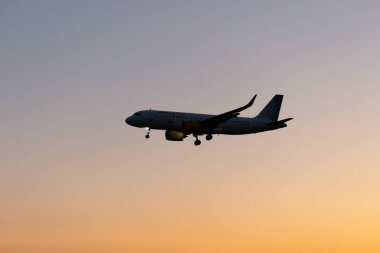 Zürih, İsviçre, 6 Eylül, 2023 EC-NCF Vueling Airlines Airbus A320-271N Neo uçağı, bu akşam 14. piste yaklaşmaktadır.