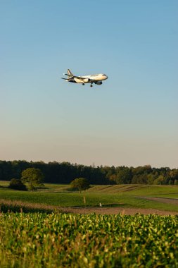 Zürih, İsviçre, 6 Eylül 2023 D-AILM Lufthansa Airbus A319-114 numaralı uçak 14 nolu piste yanaşmak üzere.