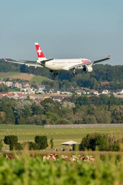 Zürih, İsviçre, 6 Eylül 2023 HB-JHA İsviçreli uluslararası havayolları Airbus A330-343, 14. piste yaklaşan son uçak.