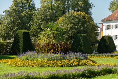 Kempten, Almanya, 8 Eylül 2023 Güneşli bir günde şehir merkezinde çiçekli güzel bir park