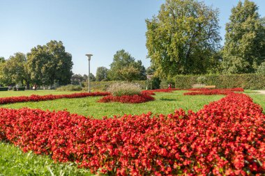 Kempten, Almanya, 8 Eylül 2023 Güneşli bir günde şehir merkezinde çiçekli güzel bir park