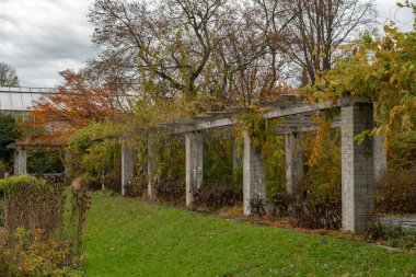 Saint Gallen, İsviçre, 13 Kasım 2023 Yağmurlu bir günde botanik bahçesindeki farklı tarlalar