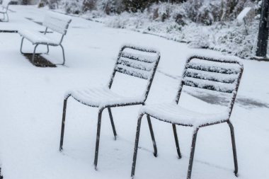 Saint Gallen, İsviçre, 28 Kasım 2023 Botanik bahçesindeki sandalyelere taze kar yağıyor.