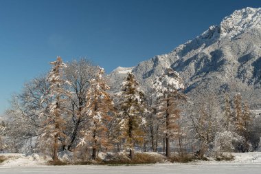 Vaduz, Lihtenştayn, 3 Aralık 2023 Güneşli bir günde açık mavi gökyüzü ile Ren Vadisi 'nde ilahi kış havası