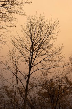 Schaan, Lihtenştayn, 17 Ocak 2023 Ürkütücü atmosferik durum ve akşamları renkli bir gökyüzü.