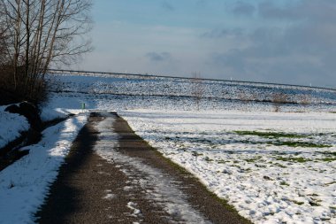 Altenrhein, İsviçre, 7 Aralık 2023 güneşli bir günde Majestic kış manzarası
