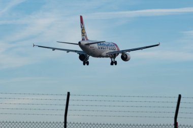 Zürih, İsviçre, 14 Ocak 2024 HB-IHZ Edelweiss Air Airbus A320-214 numaralı uçak 14 numaralı piste iniyor.