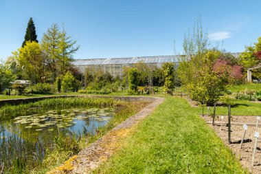 Saint Gallen, İsviçre, 27 Nisan 2024 Kırsal manzara ve baharda botanik bahçesinde küçük bir gölet