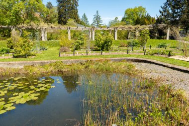Saint Gallen, İsviçre, 27 Nisan 2024 İlkbahar zamanı botanik bahçesindeki renkli bir parkta